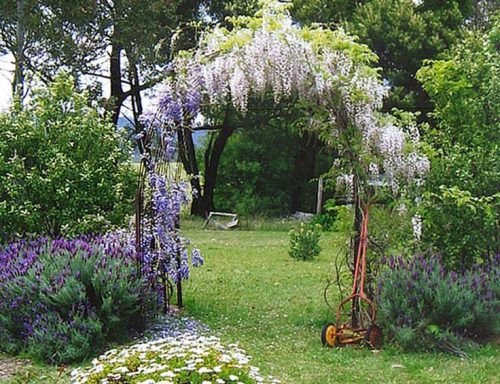 Best wooden archers with trellis for planting