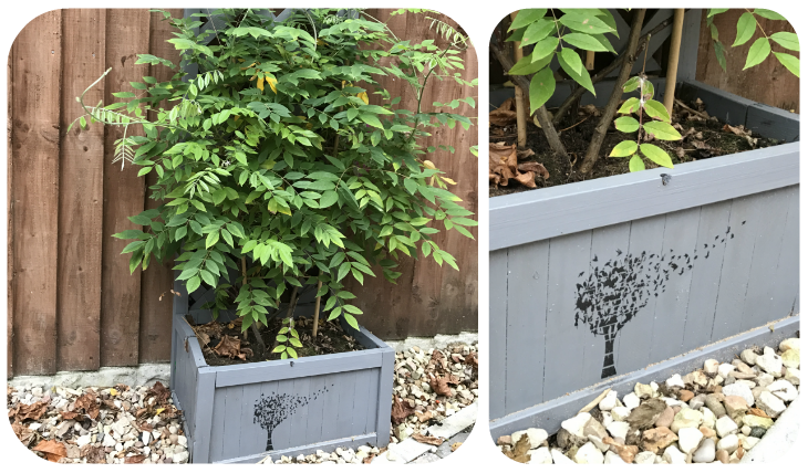 Upcycled planter idea - Painted with cuprinol and stenciled