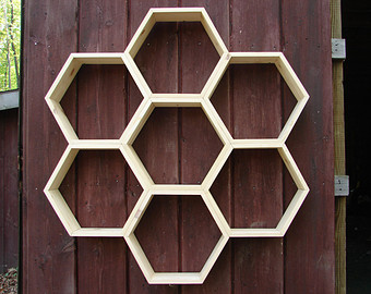 Hexagon trellis idea
